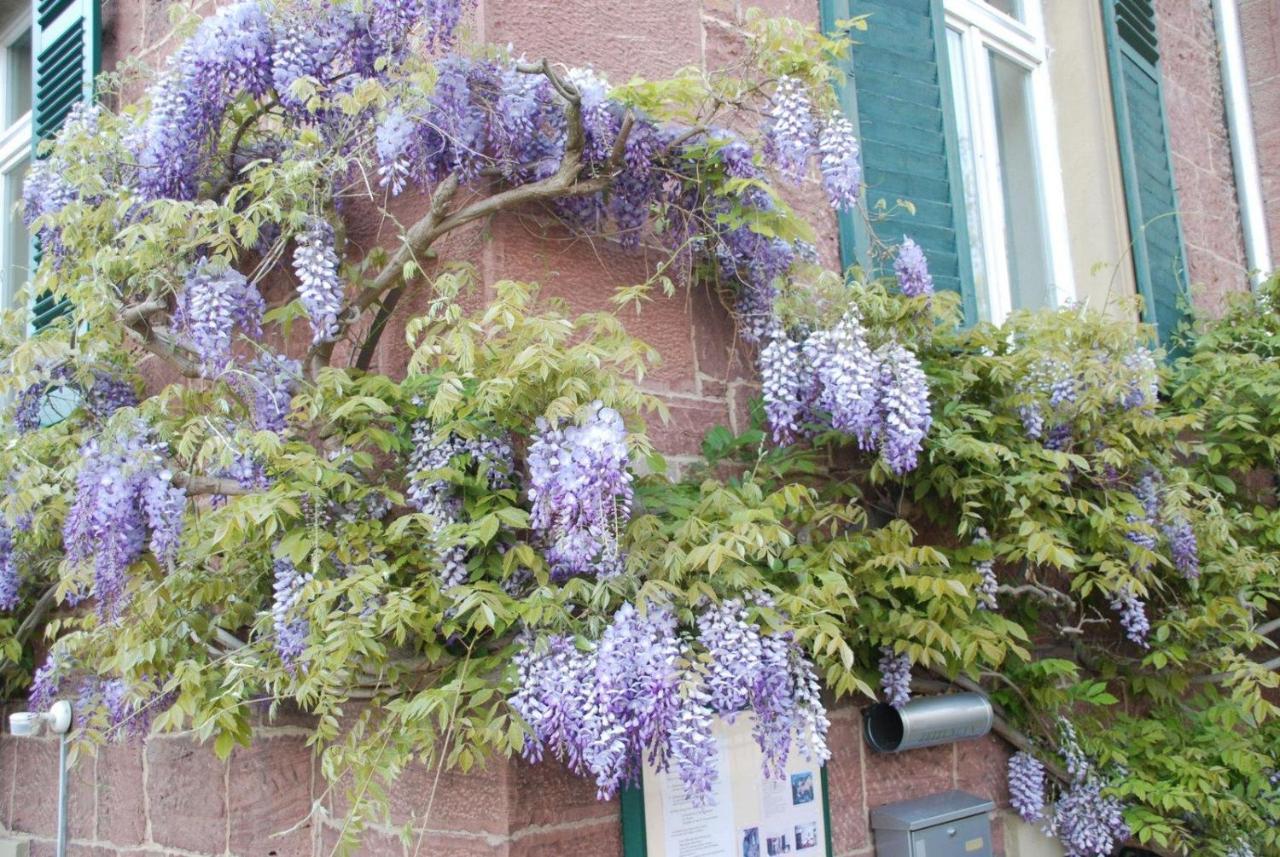 Haus Haeselbarth Appartement Bad Kissingen Buitenkant foto